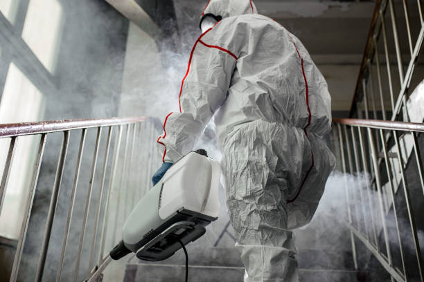 Fruitridge Pocket, CA Mold Removal Company